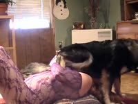 MILF got her clothes ripped and fucked by dog xxx